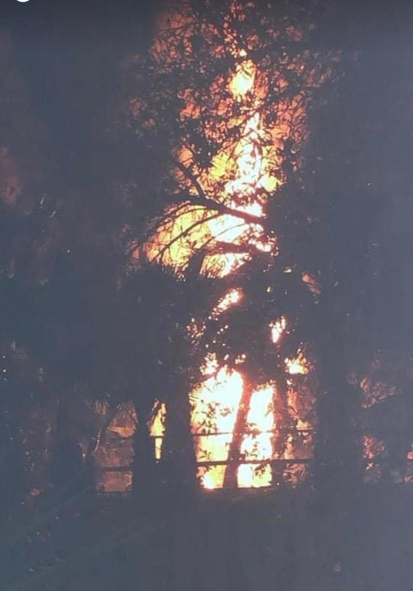 Incendiate sei piante nel Parco urbano di San Marzano sul Sarno, lo sdegno della sindaca Carmela Zuottolo