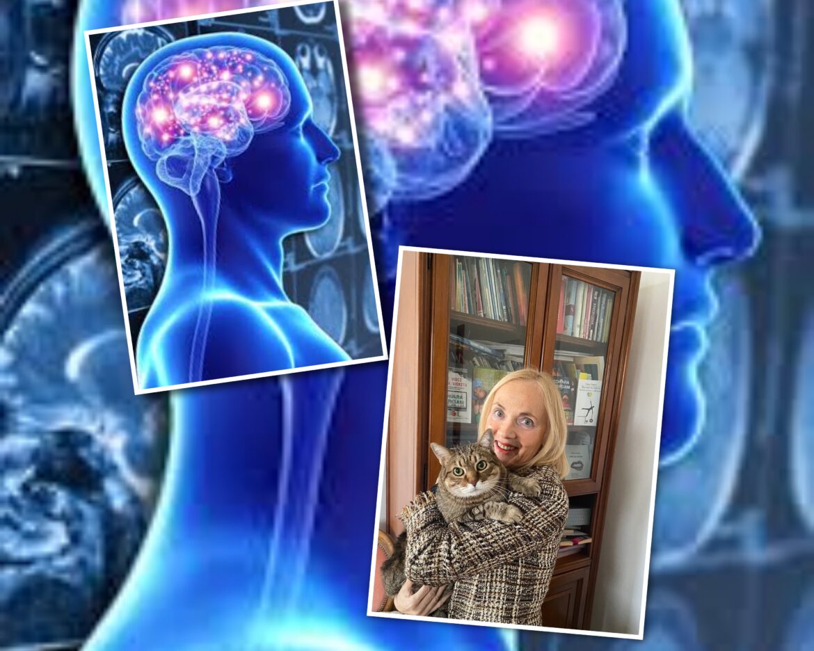 Scoperta neurologica: l’insula mostra connettività alterata in chi fa fatica a capire il parlato in ambienti rumorosi. Di Chiara Vergani