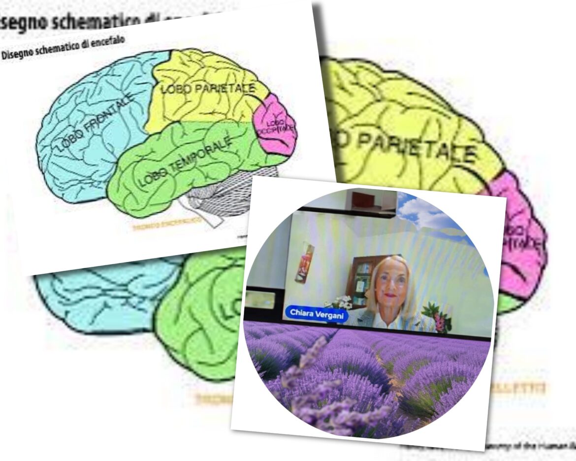 Coltivare il cervello: come nutrire la mente per vivere meglio. Di Chiara Vergani